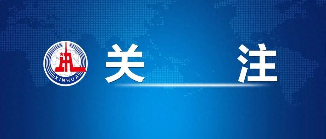 借调超20年、一年开800多次会……中央通报3起典型问题！