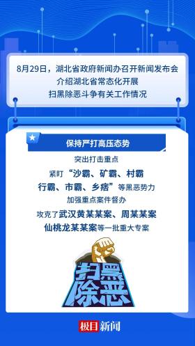 湖北省公安厅刑事侦查总队原副总队长胡家祥 充当黑势力“保护伞”被移送司法-图2