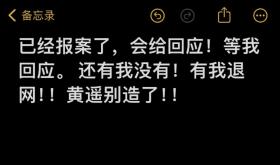 三只羊卢文庆录音门后续 ! 七老板与卓仕琳报警：如果是真的我去死-图8